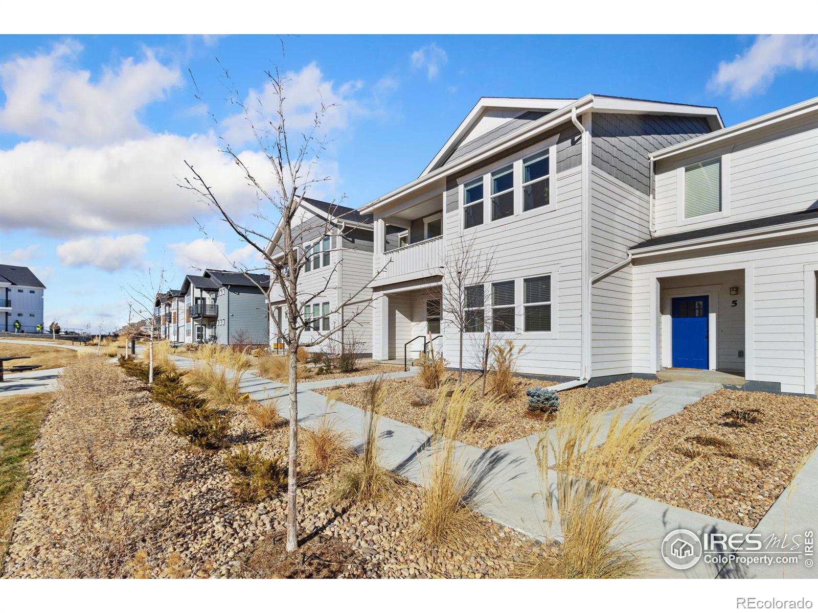 MLS Image #25 for 2110  setting sun drive,windsor, Colorado