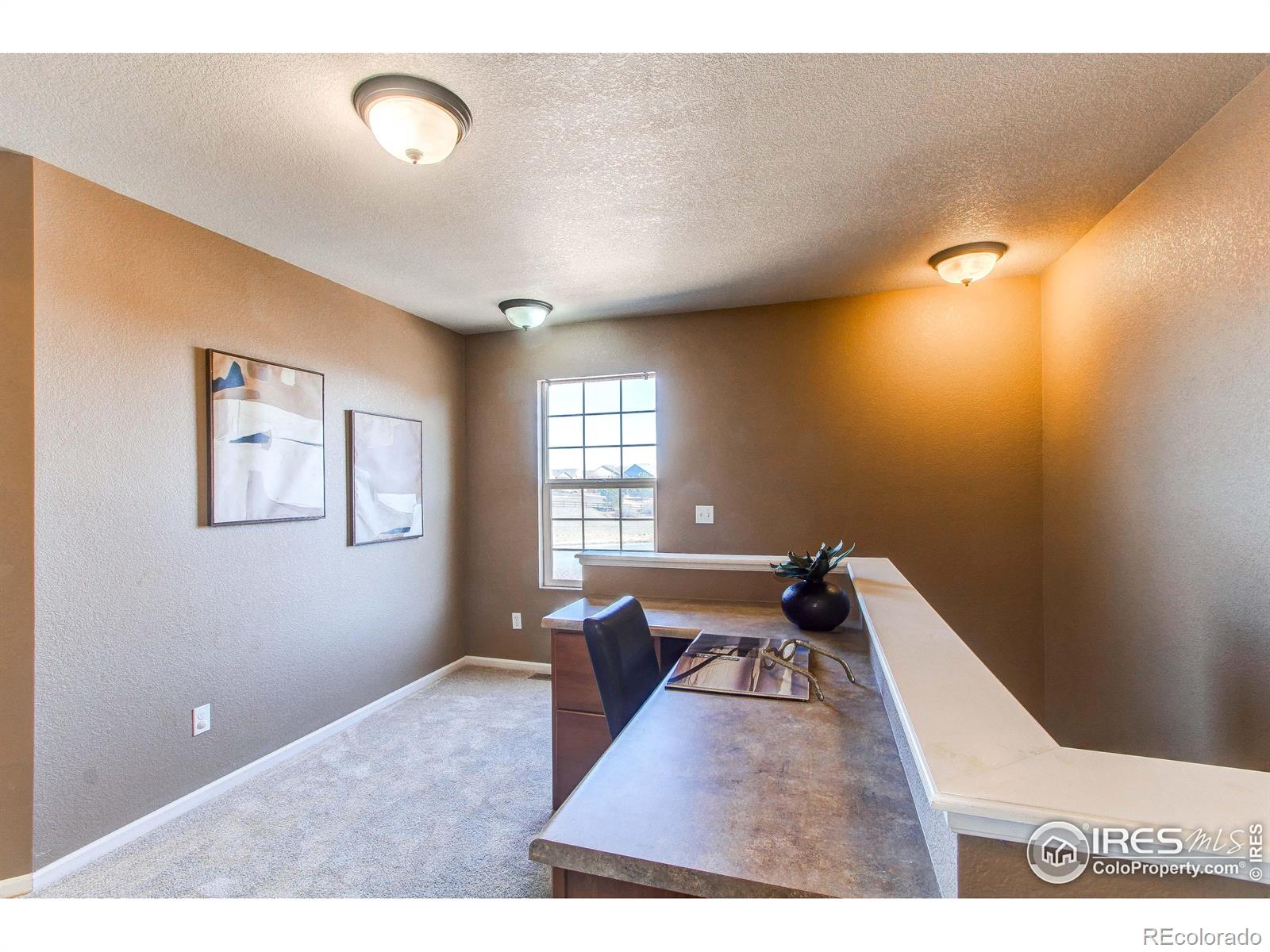 MLS Image #11 for 12754  jasmine street,thornton, Colorado