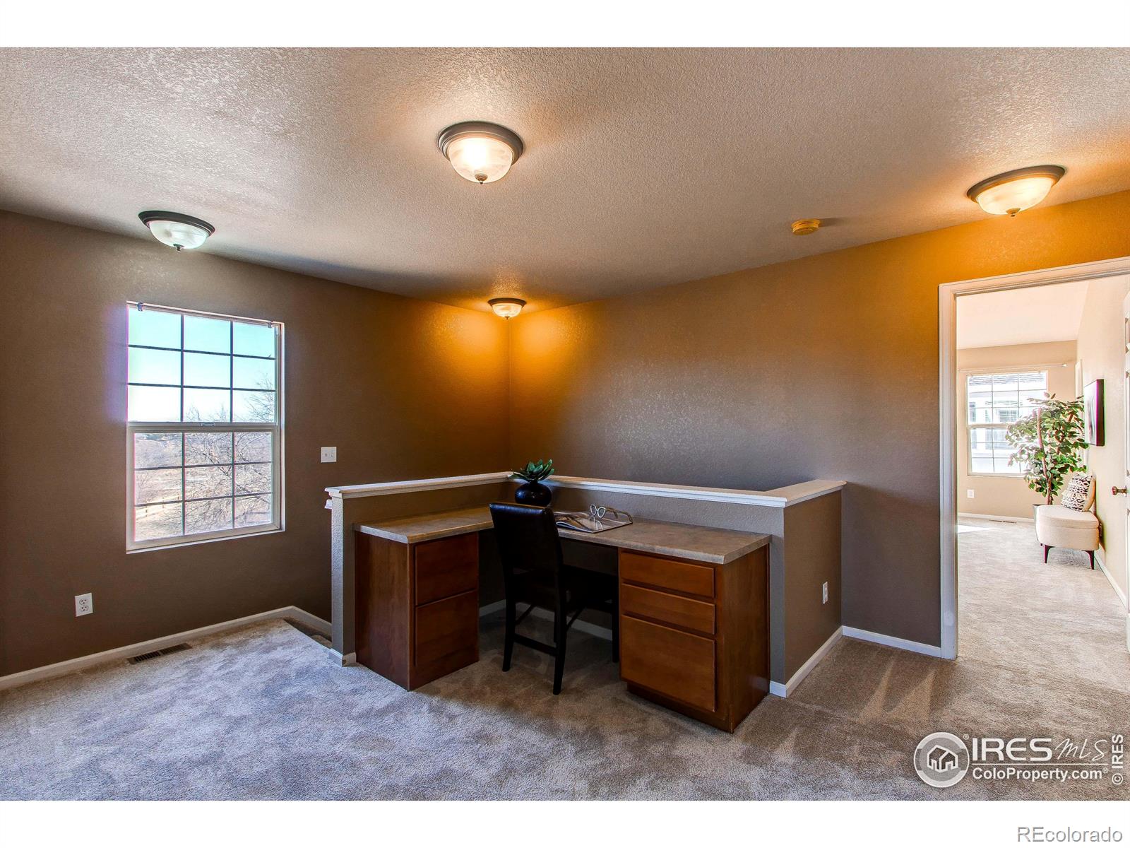 MLS Image #12 for 12754  jasmine street,thornton, Colorado