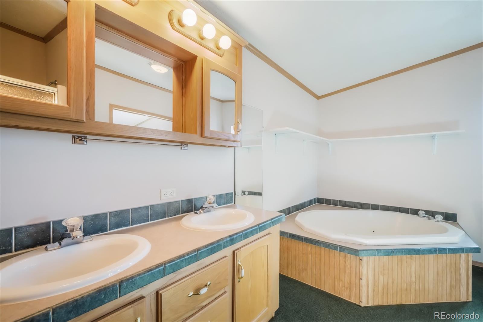 MLS Image #31 for 19605  oslo grove,colorado springs, Colorado