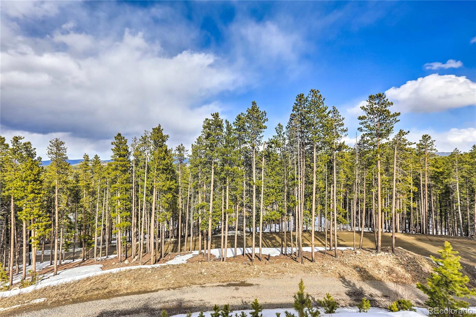 MLS Image #31 for 100  apache road,evergreen, Colorado