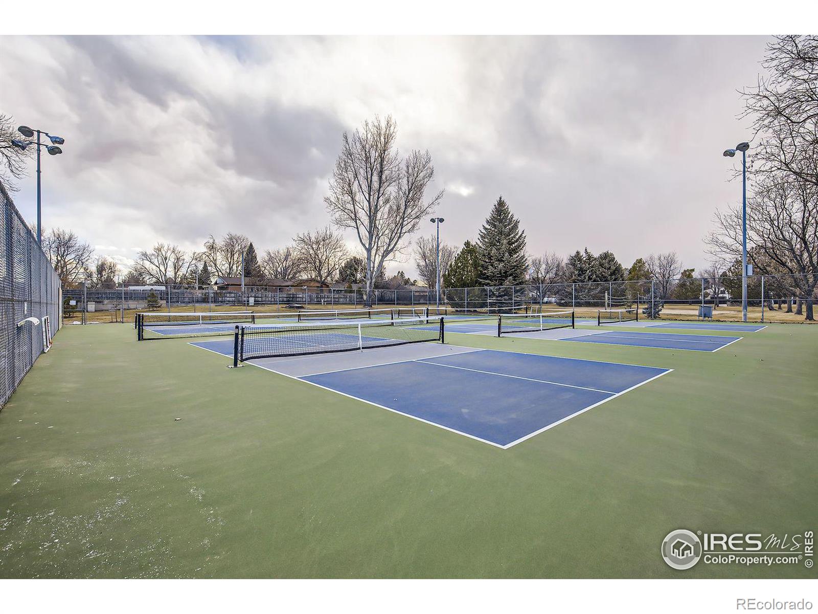 MLS Image #13 for 1379  charles drive,longmont, Colorado