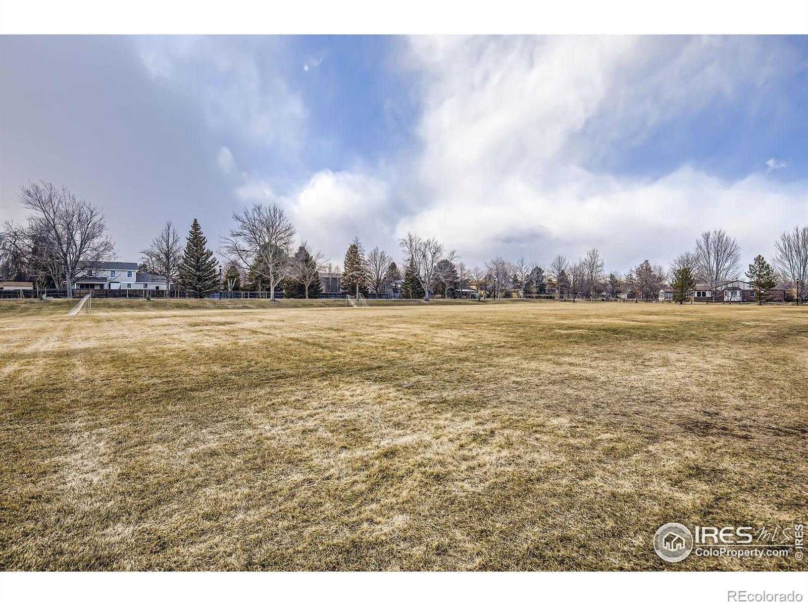 MLS Image #14 for 1379  charles drive,longmont, Colorado