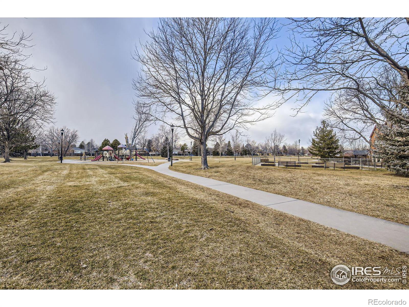 MLS Image #16 for 1379  charles drive,longmont, Colorado