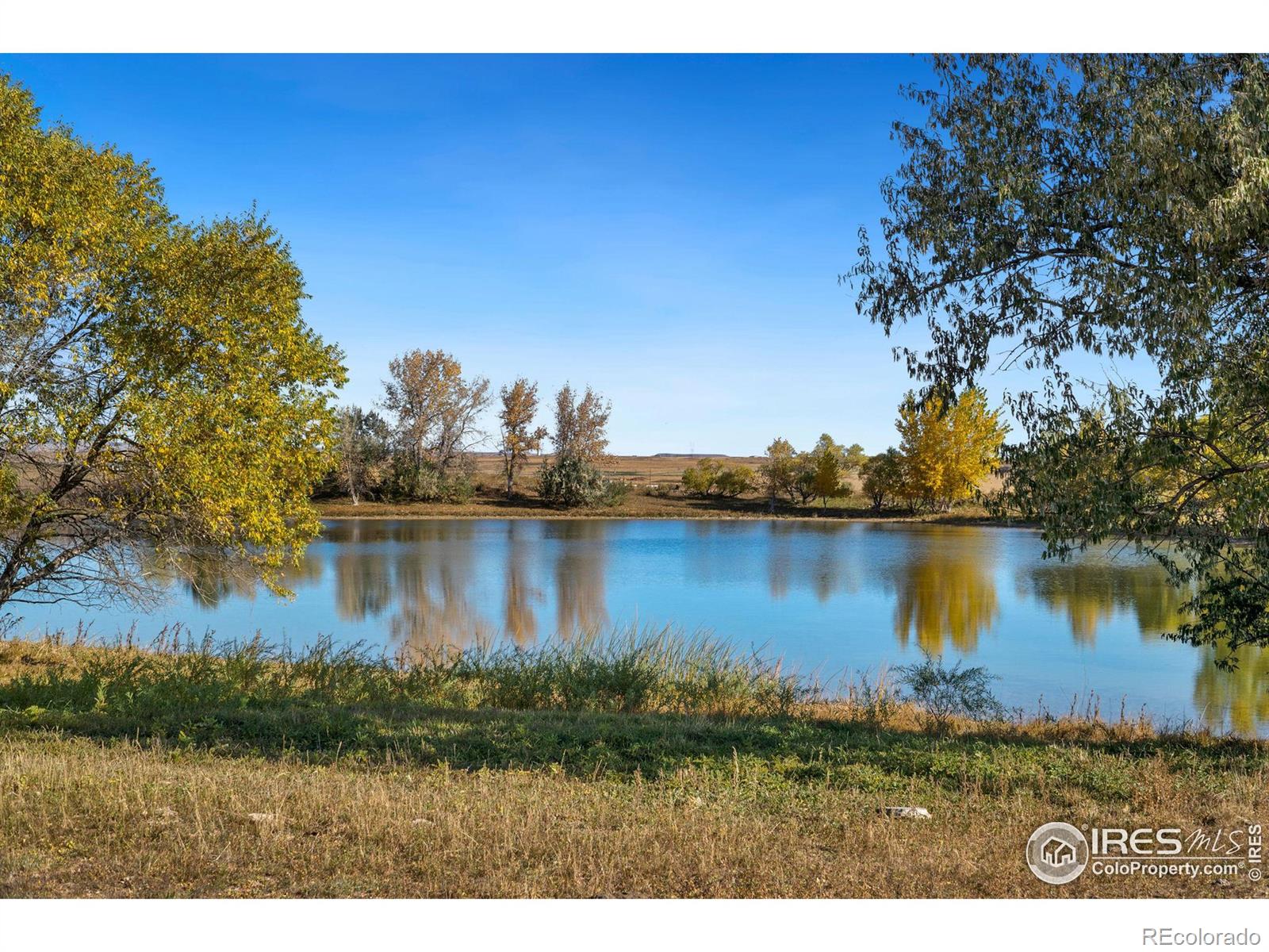 MLS Image #5 for 13601 n county road 11 ,wellington, Colorado