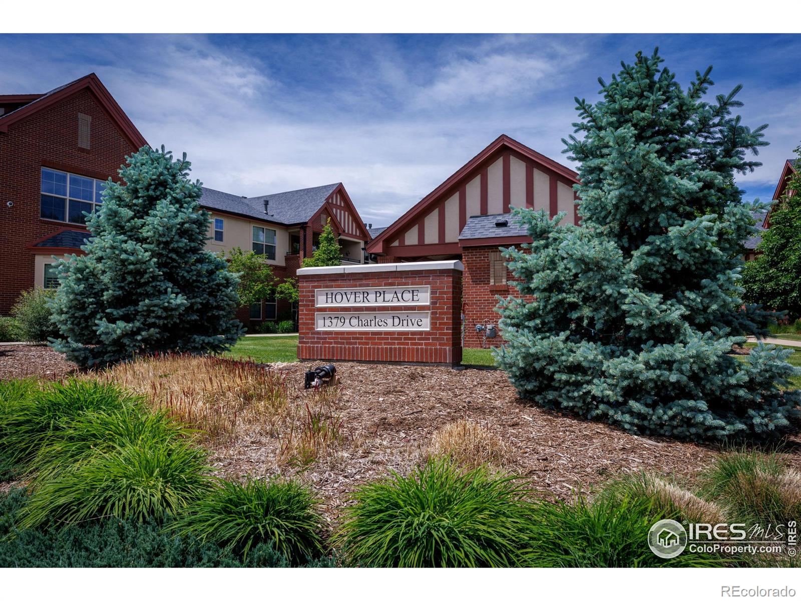 MLS Image #27 for 1379  charles drive,longmont, Colorado