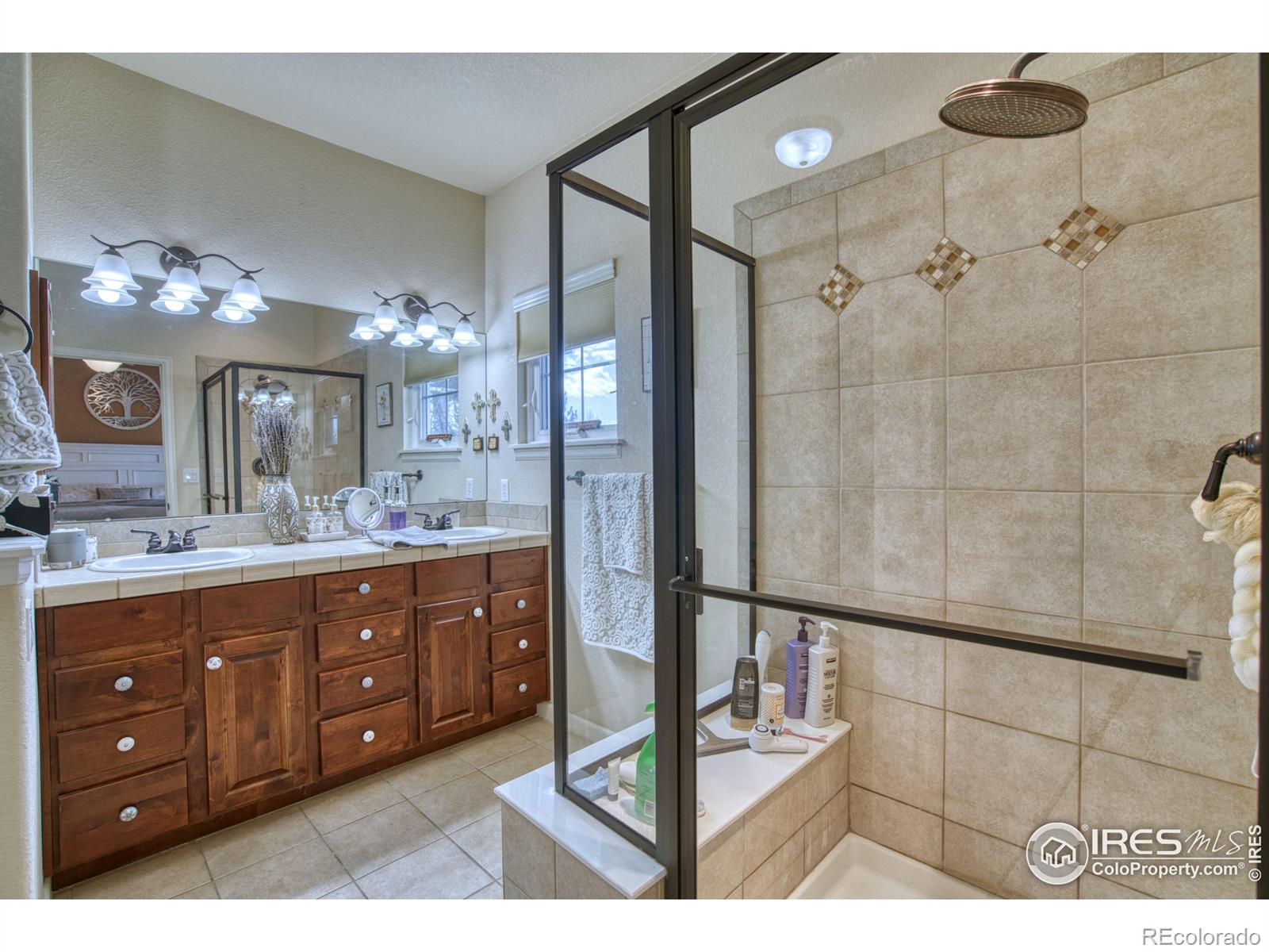 MLS Image #11 for 2179  cape hatteras drive,windsor, Colorado