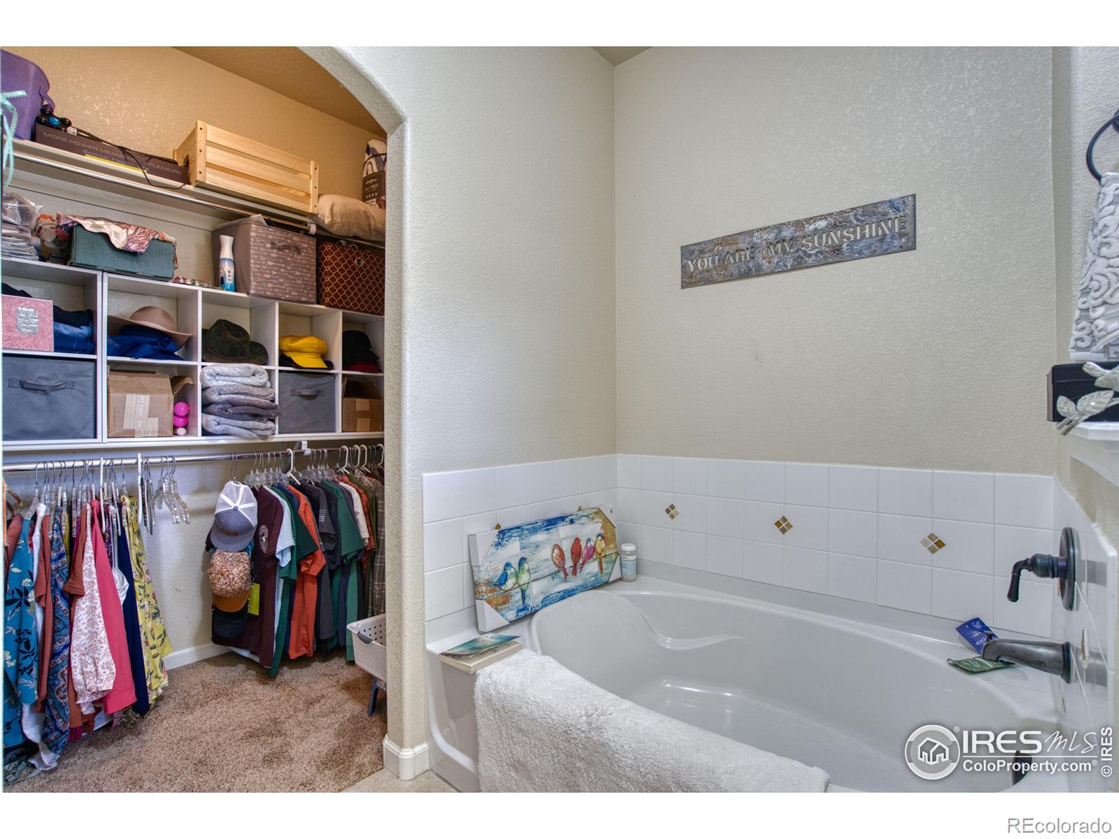 MLS Image #13 for 2179  cape hatteras drive,windsor, Colorado