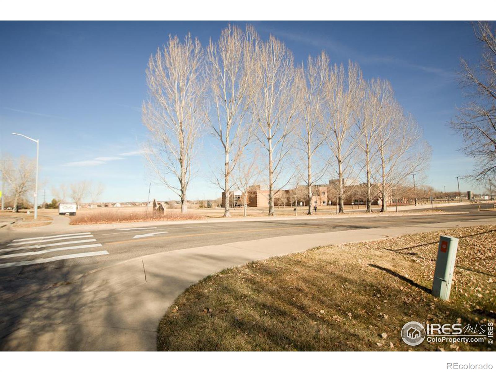 MLS Image #19 for 930  button rock drive,longmont, Colorado