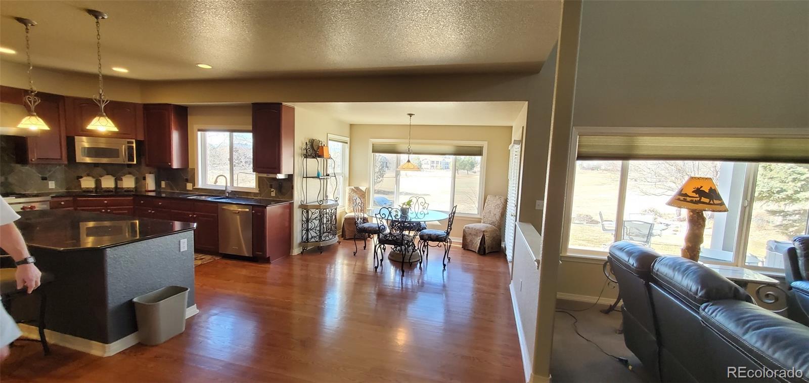 MLS Image #7 for 14137  whitney circle,broomfield, Colorado