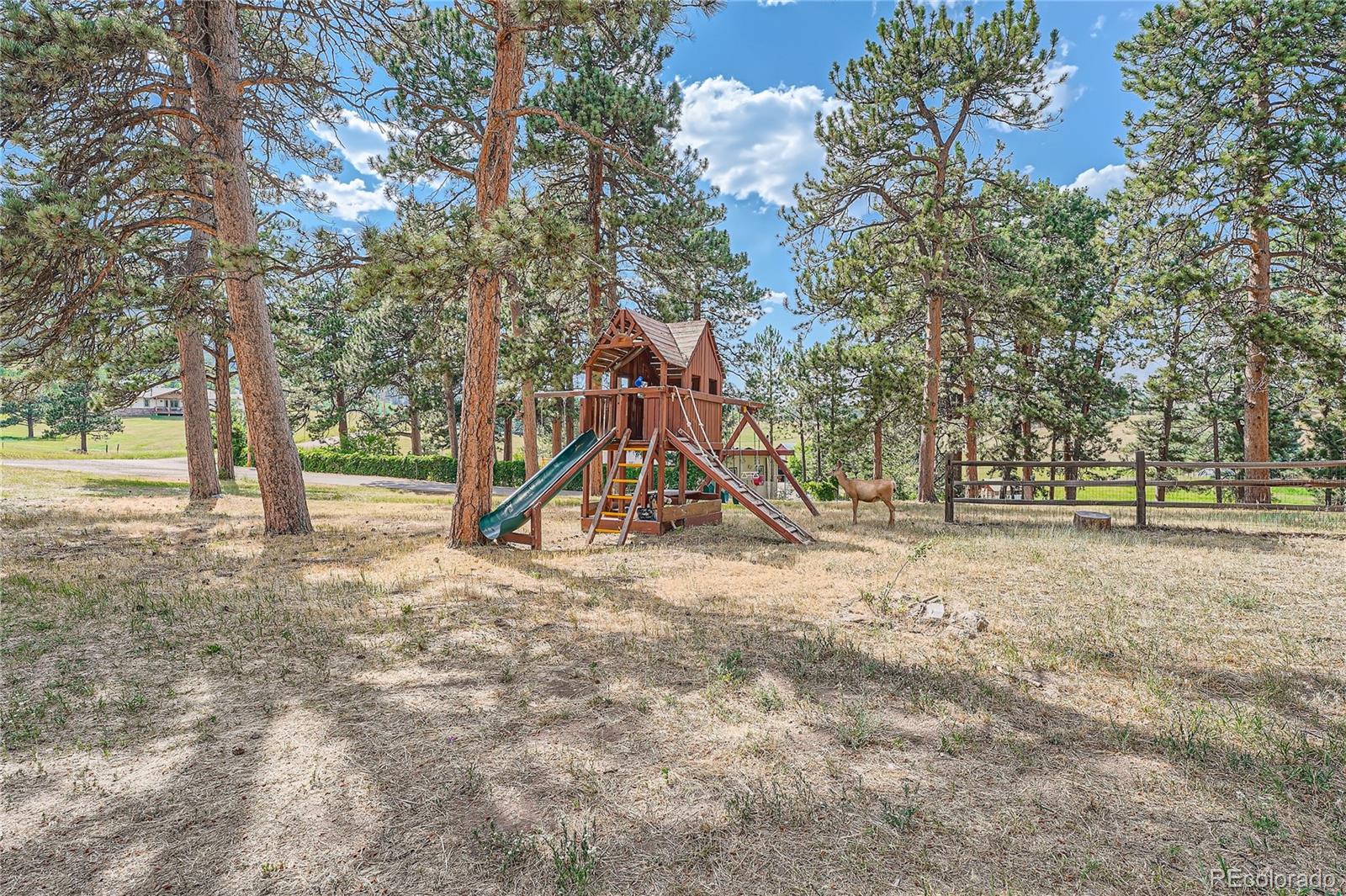 MLS Image #43 for 23231  maricopa road,indian hills, Colorado