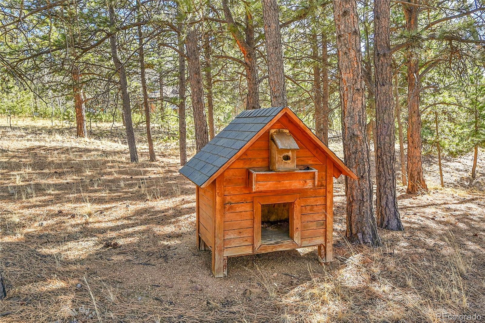 MLS Image #31 for 290  clark road,bailey, Colorado