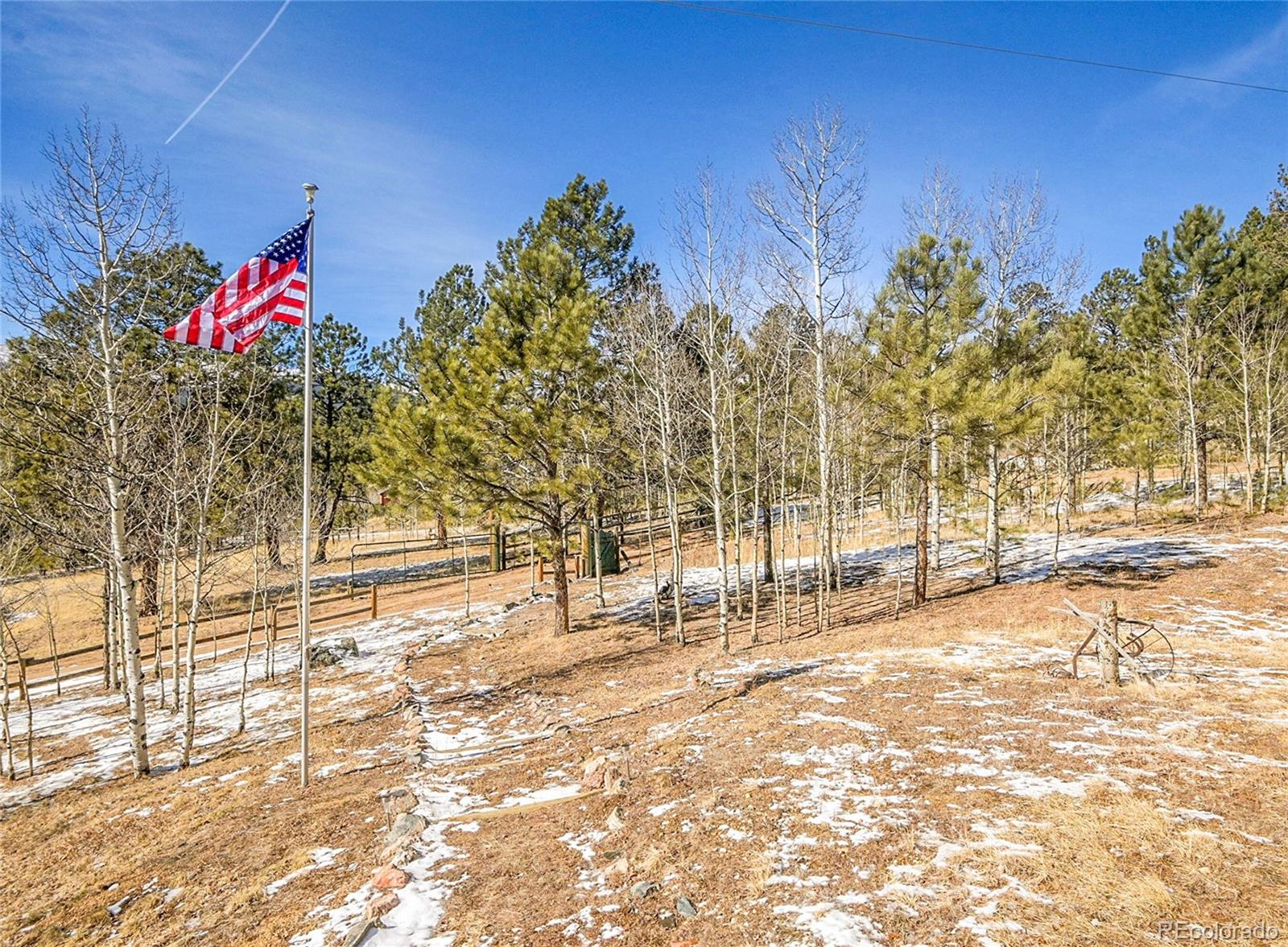 MLS Image #4 for 290  clark road,bailey, Colorado