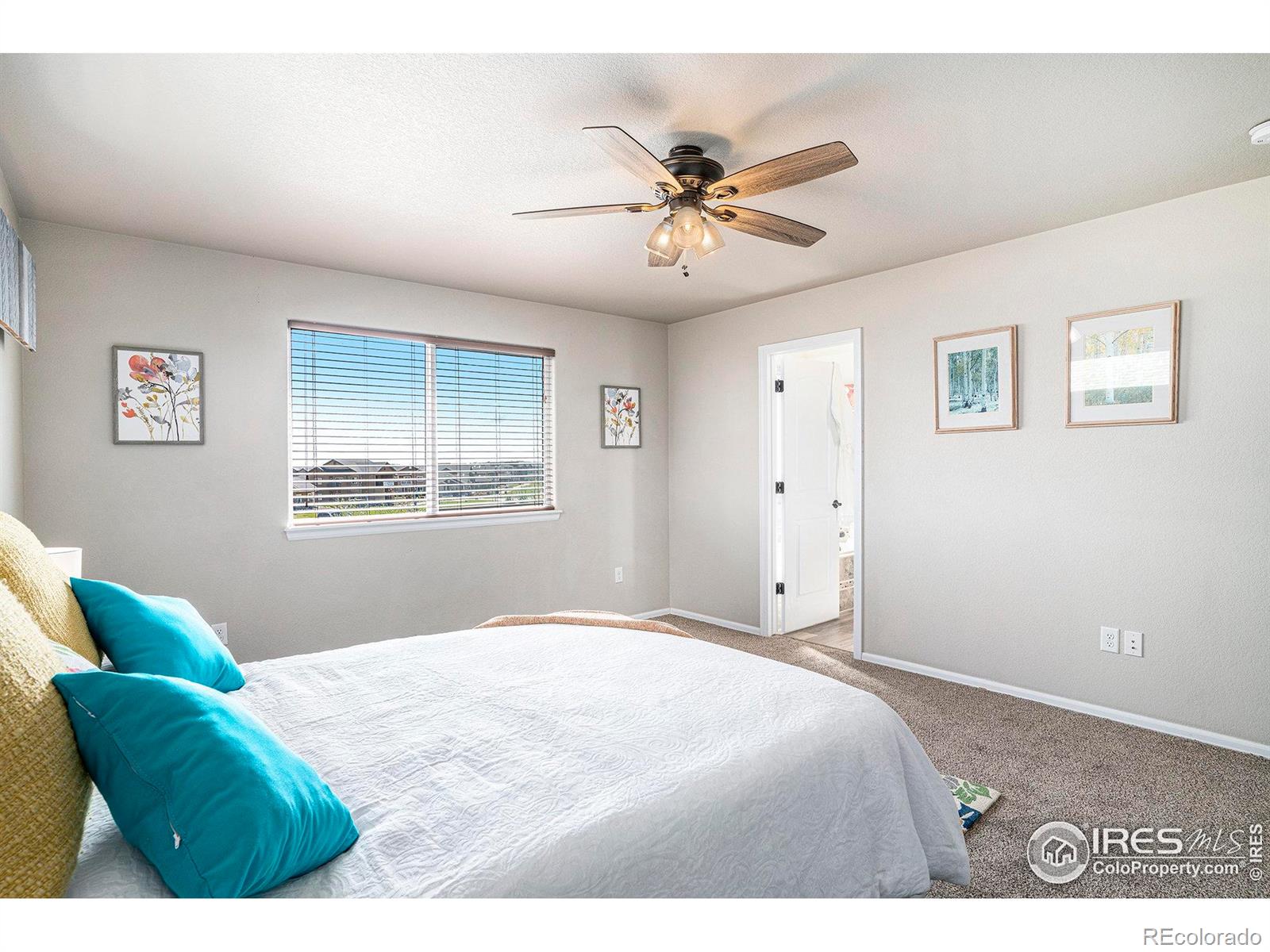 MLS Image #21 for 2055  grain bin drive,windsor, Colorado
