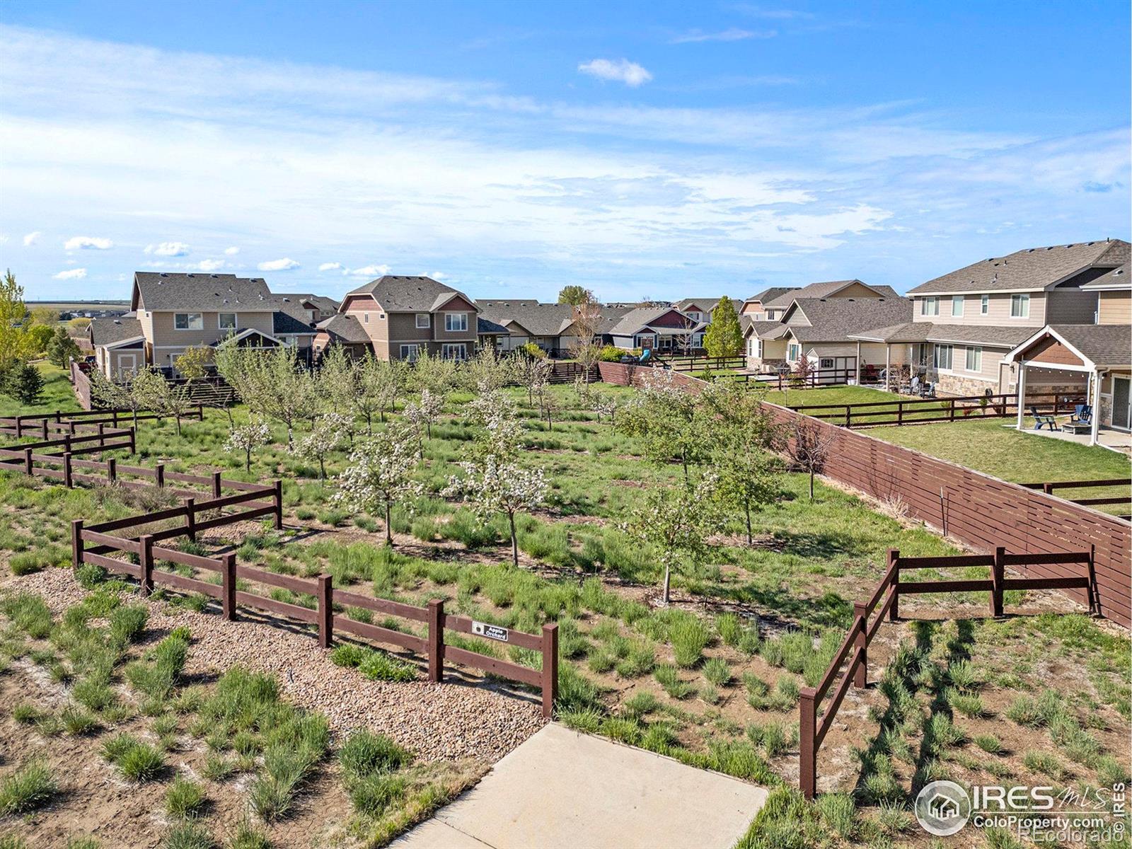 MLS Image #32 for 2055  grain bin drive,windsor, Colorado