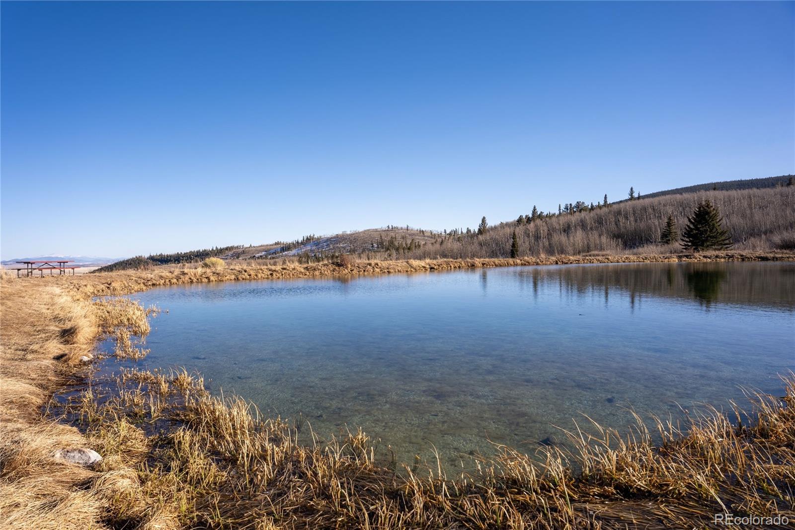 MLS Image #44 for 269  high creek road,fairplay, Colorado