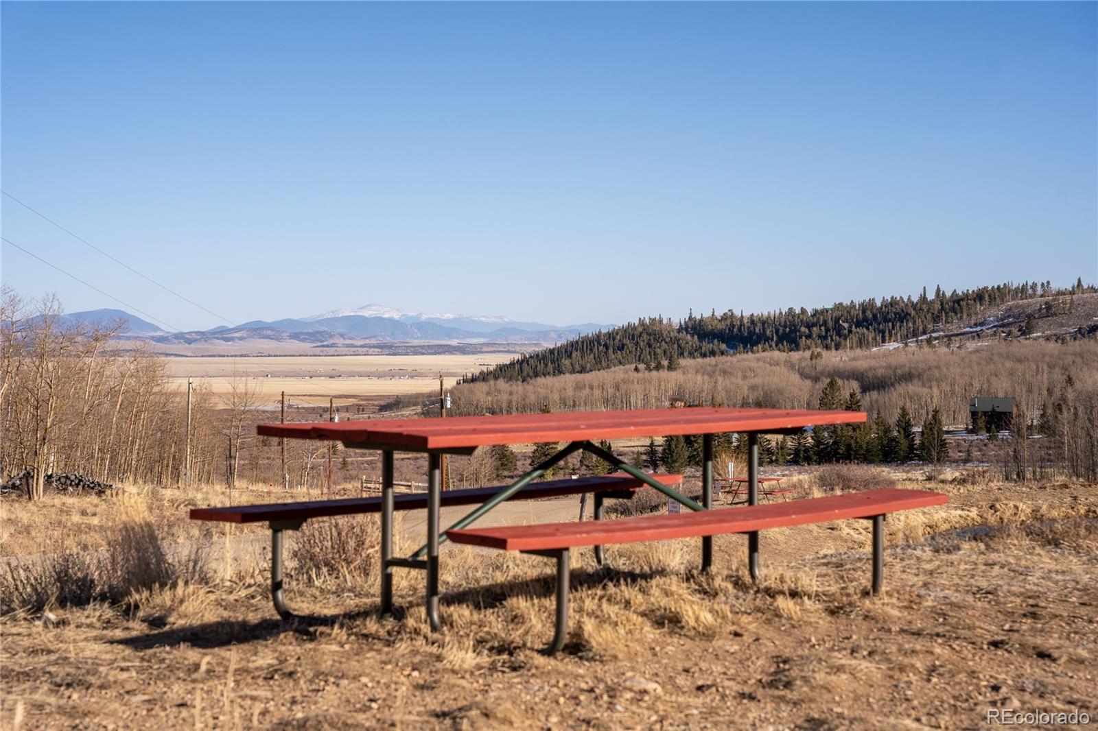 MLS Image #45 for 269  high creek road,fairplay, Colorado