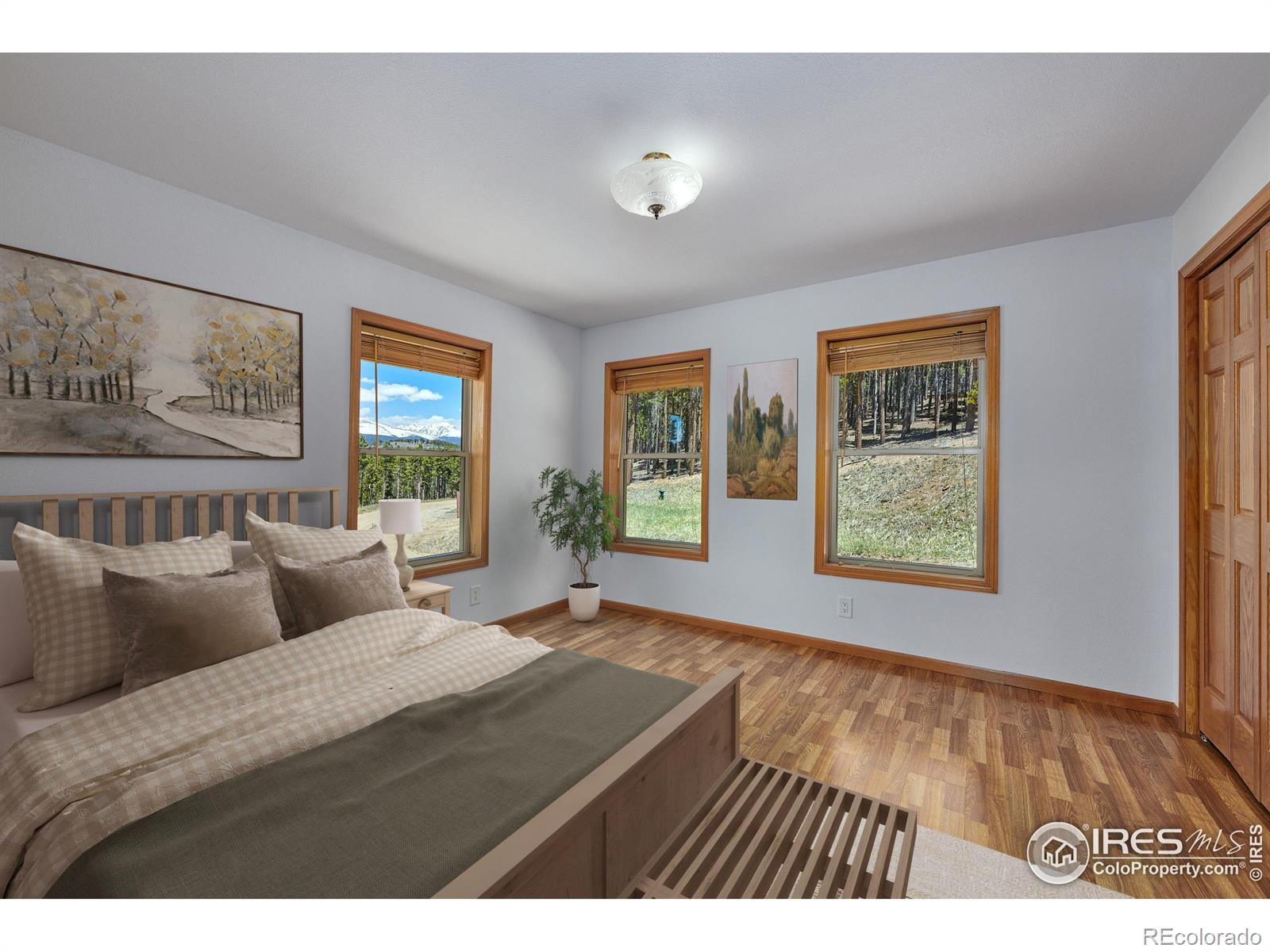 MLS Image #10 for 11863  magnolia drive,nederland, Colorado