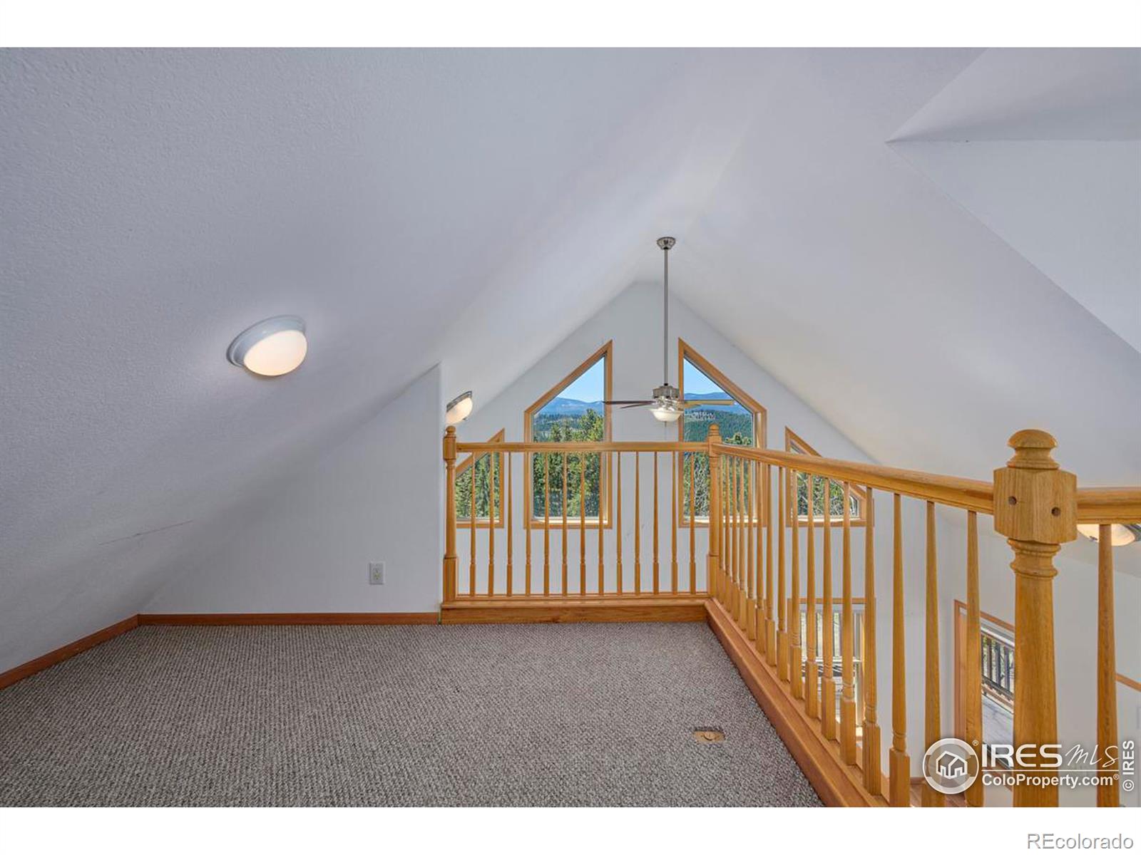 MLS Image #14 for 11863  magnolia drive,nederland, Colorado