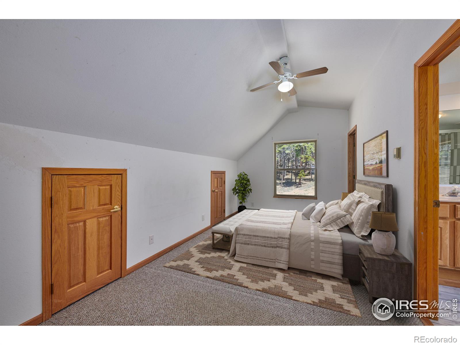 MLS Image #15 for 11863  magnolia drive,nederland, Colorado