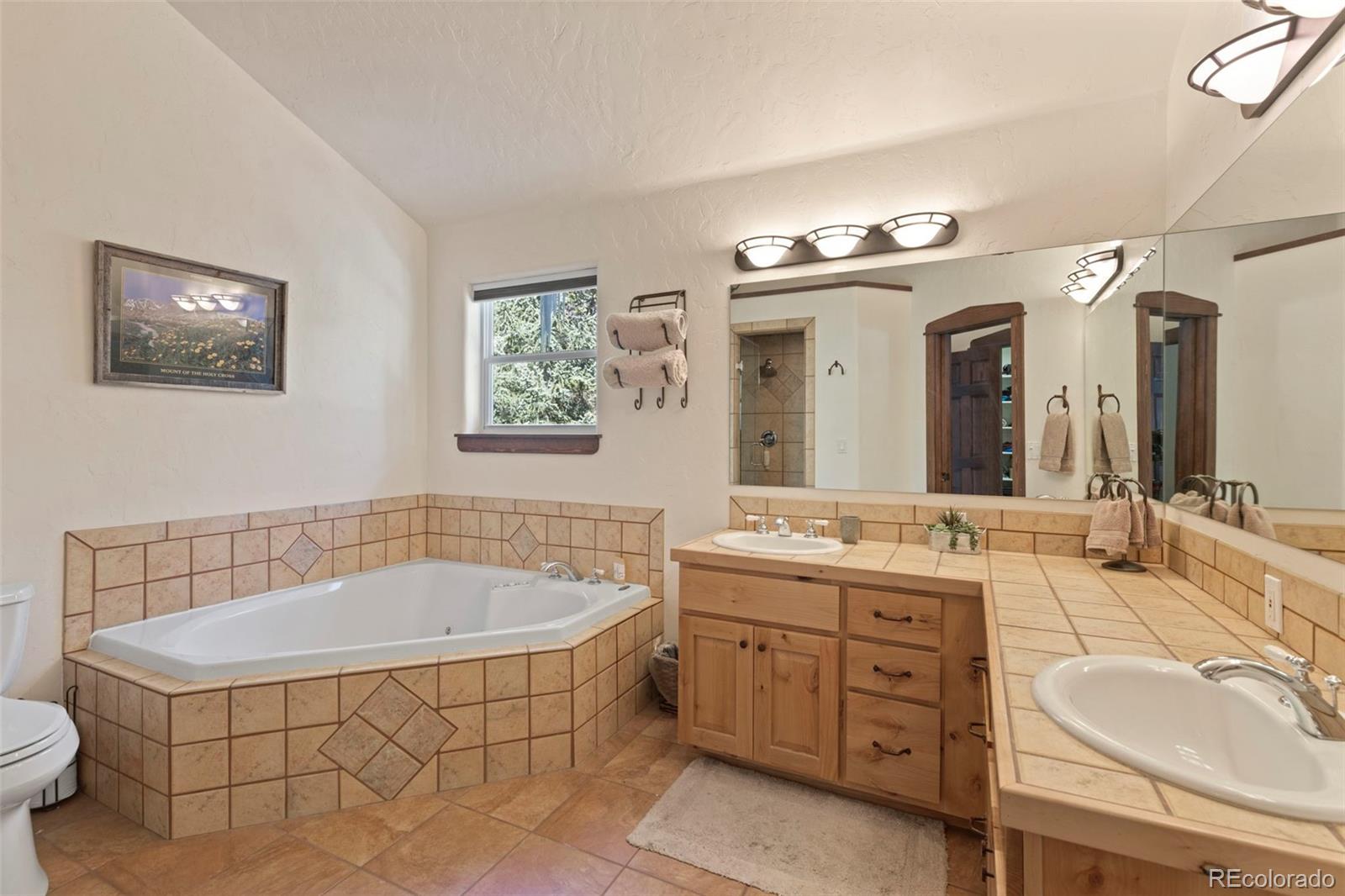 MLS Image #20 for 493  cr 672 ,breckenridge, Colorado