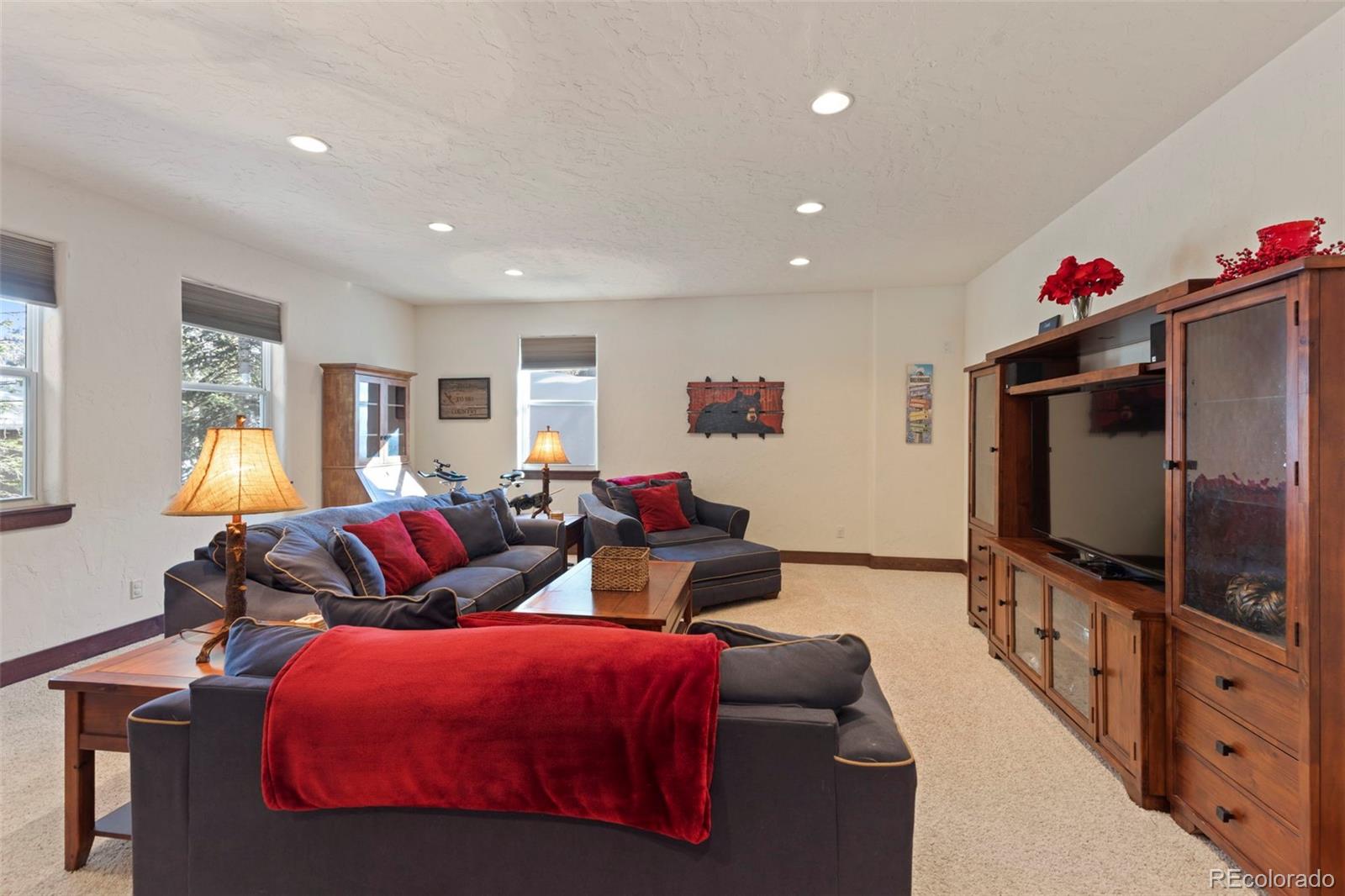 MLS Image #24 for 493  cr 672 ,breckenridge, Colorado