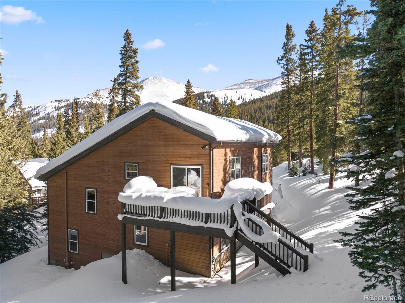 MLS Image #3 for 493  cr 672 ,breckenridge, Colorado