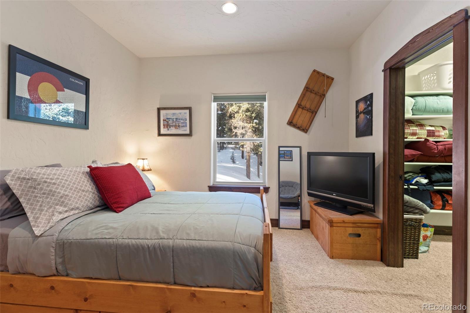 MLS Image #31 for 493  cr 672 ,breckenridge, Colorado