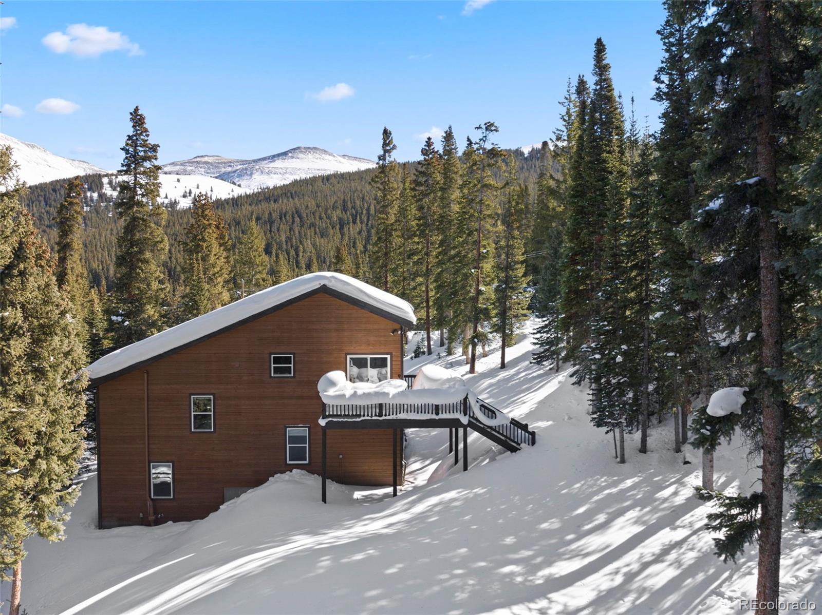 MLS Image #4 for 493  cr 672 ,breckenridge, Colorado