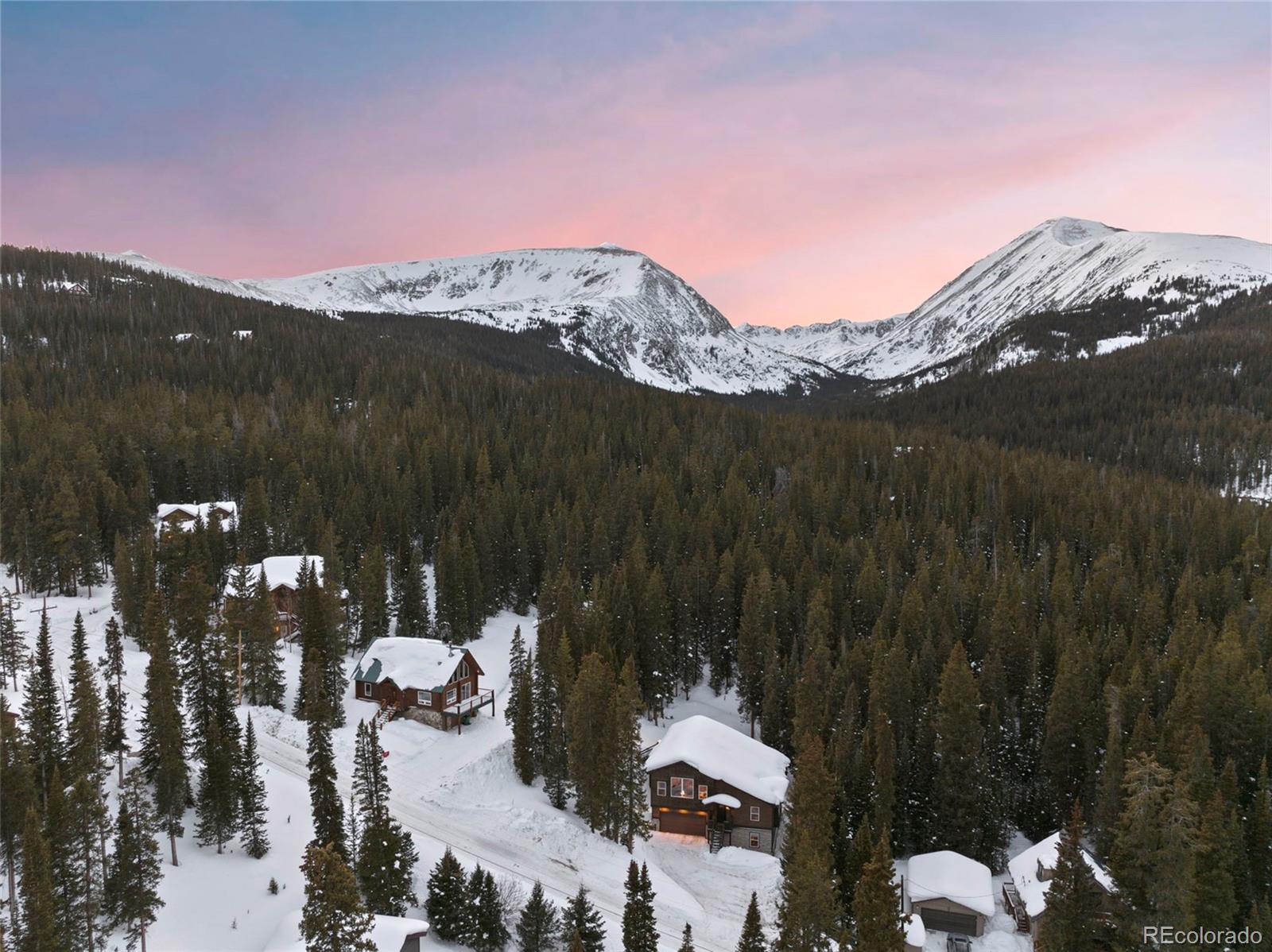 MLS Image #5 for 493  cr 672 ,breckenridge, Colorado