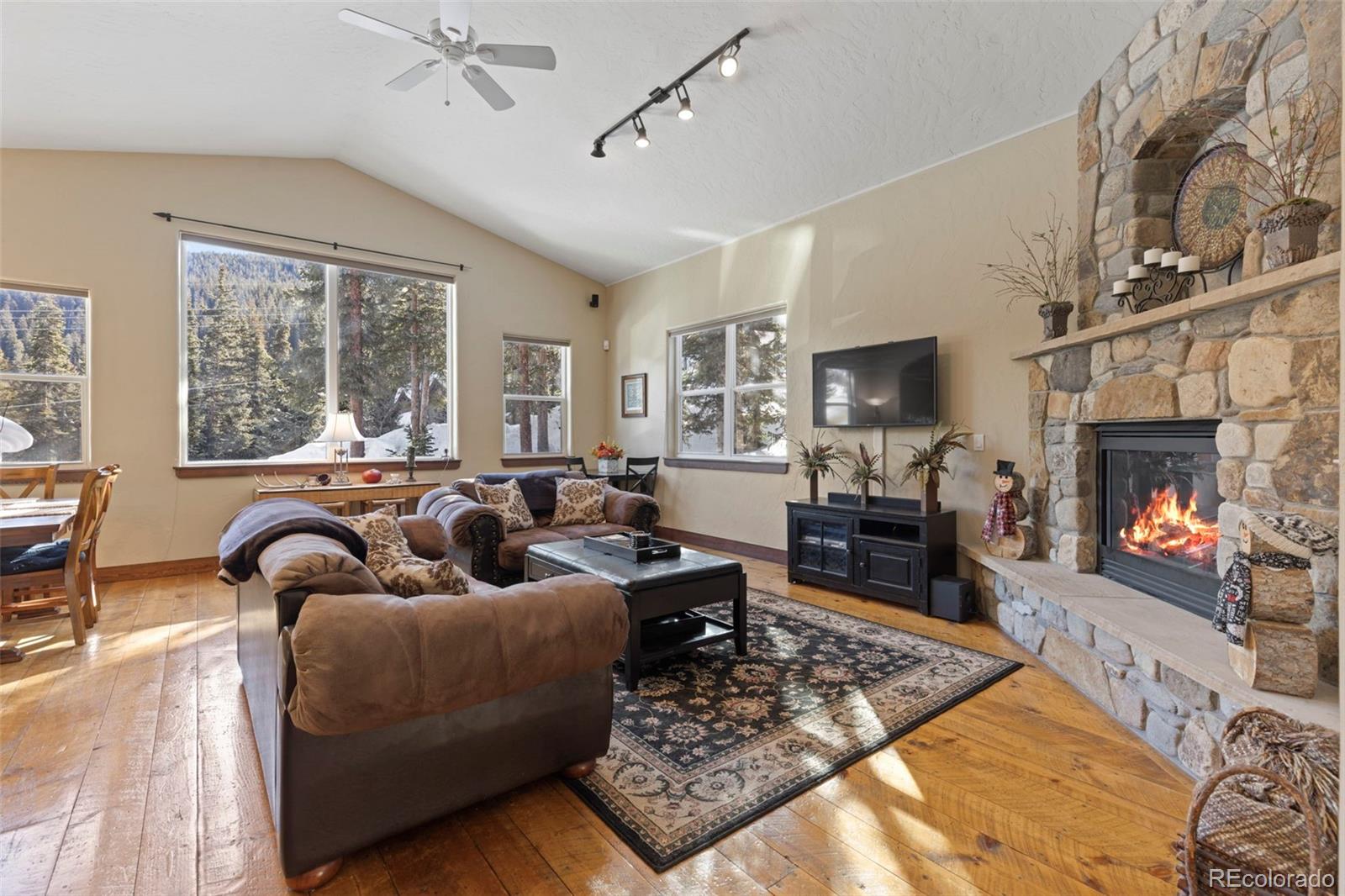 MLS Image #6 for 493  cr 672 ,breckenridge, Colorado