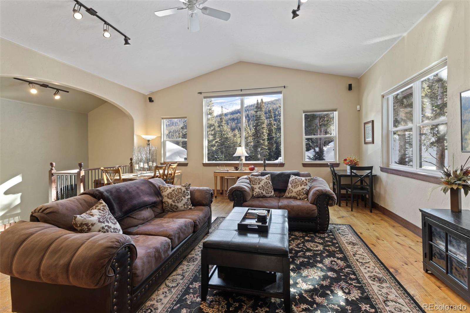 MLS Image #7 for 493  cr 672 ,breckenridge, Colorado