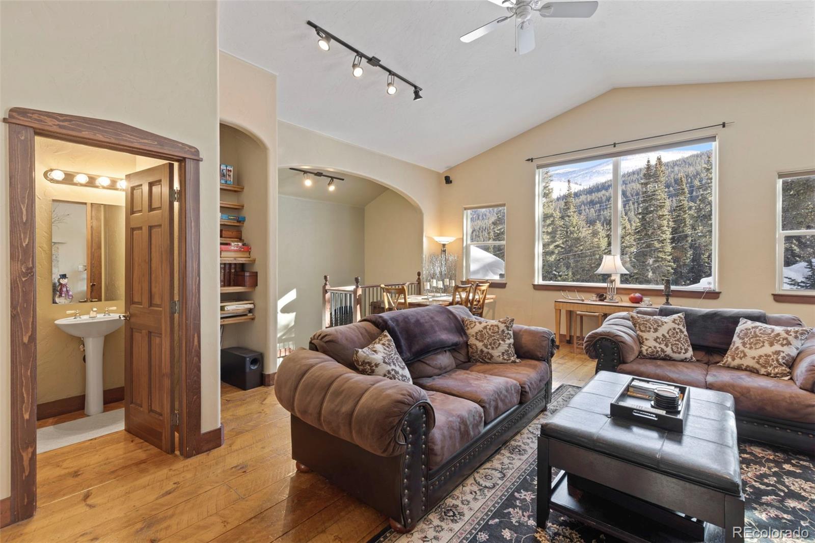 MLS Image #8 for 493  cr 672 ,breckenridge, Colorado