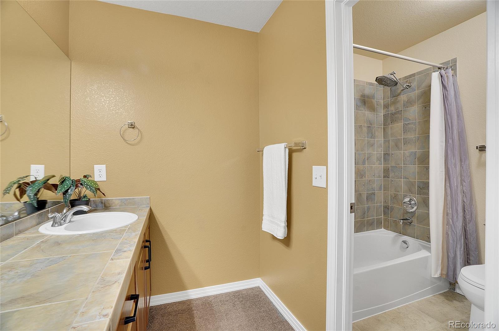 MLS Image #22 for 14200  lakeview lane,broomfield, Colorado