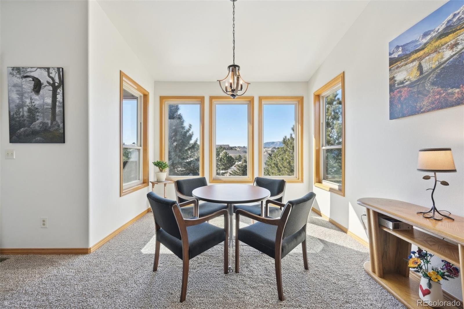 MLS Image #11 for 20120  doewood drive,monument, Colorado