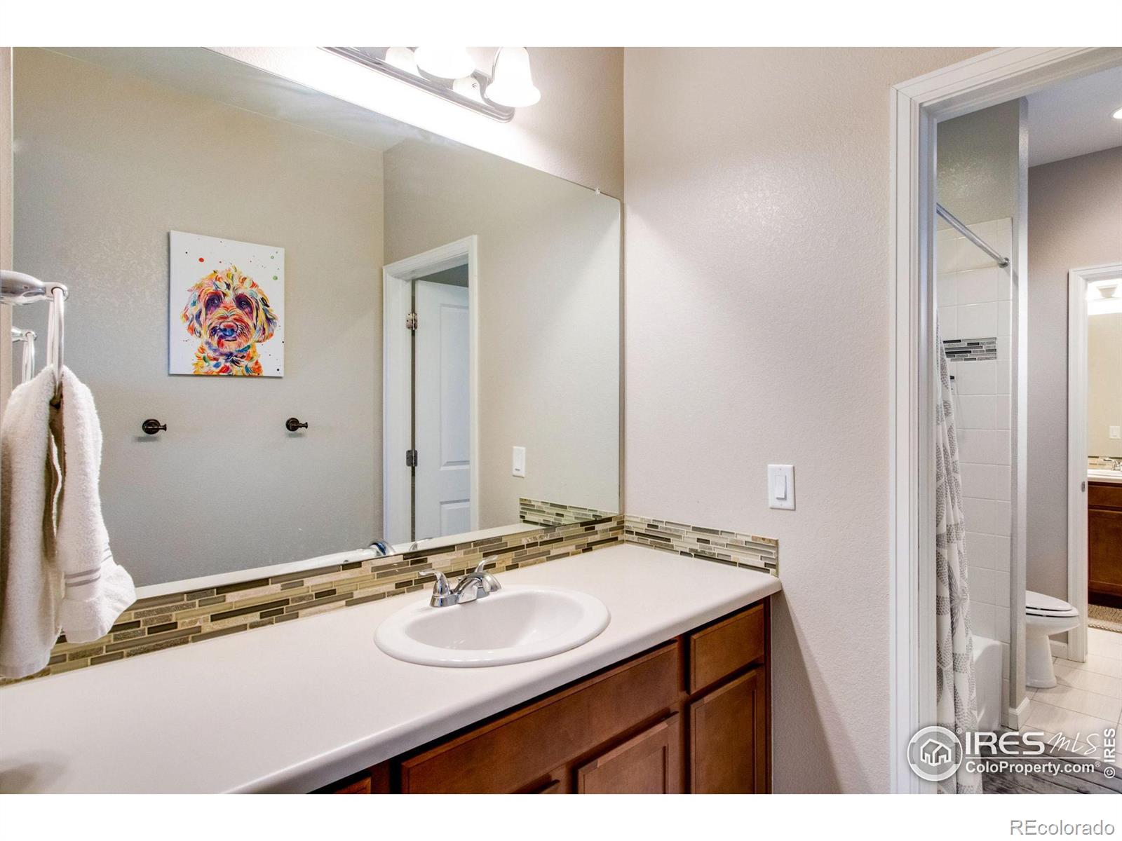 MLS Image #25 for 2415  bluestem willow drive,loveland, Colorado