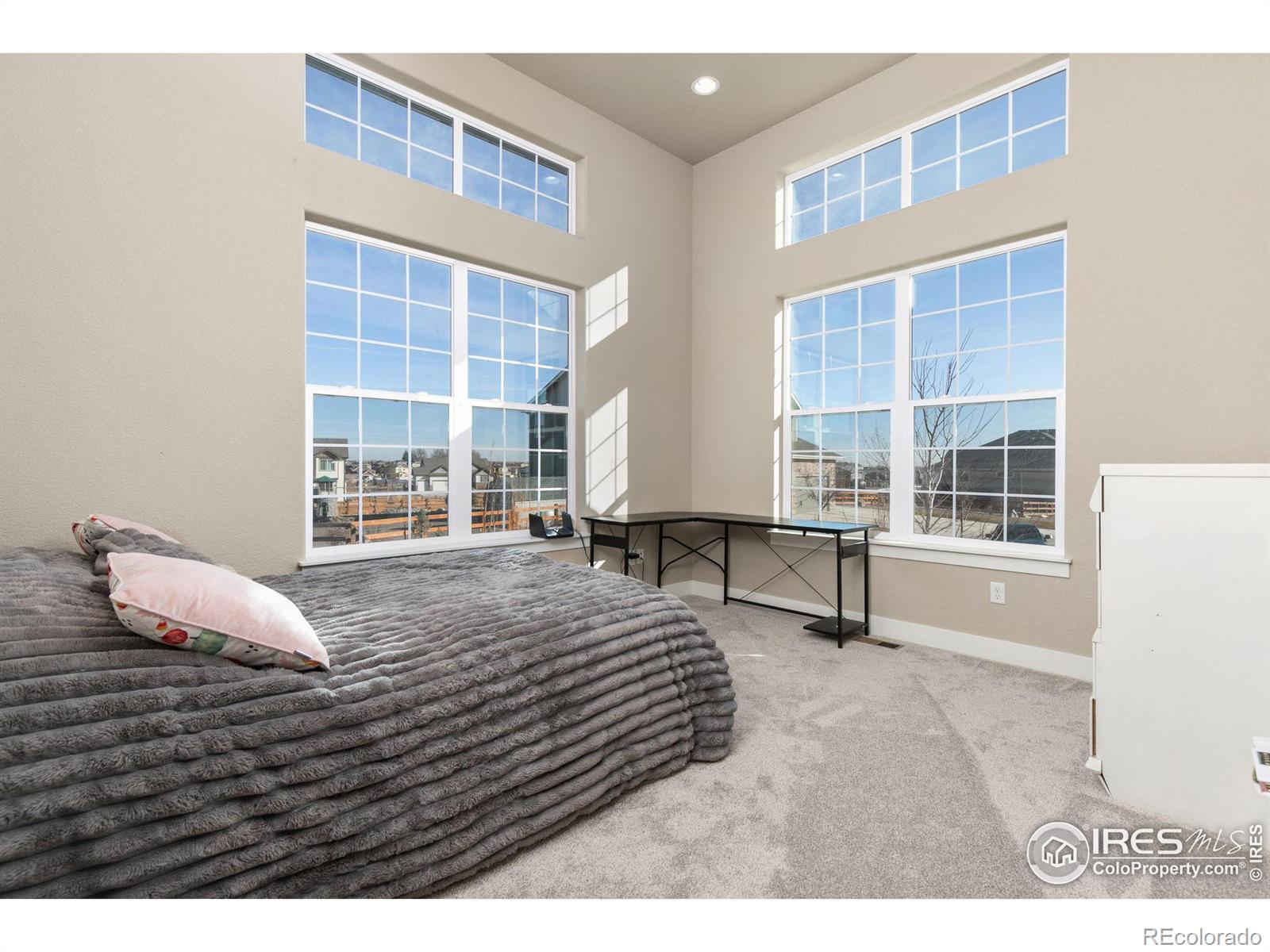 MLS Image #12 for 1416  coues deer drive,severance, Colorado