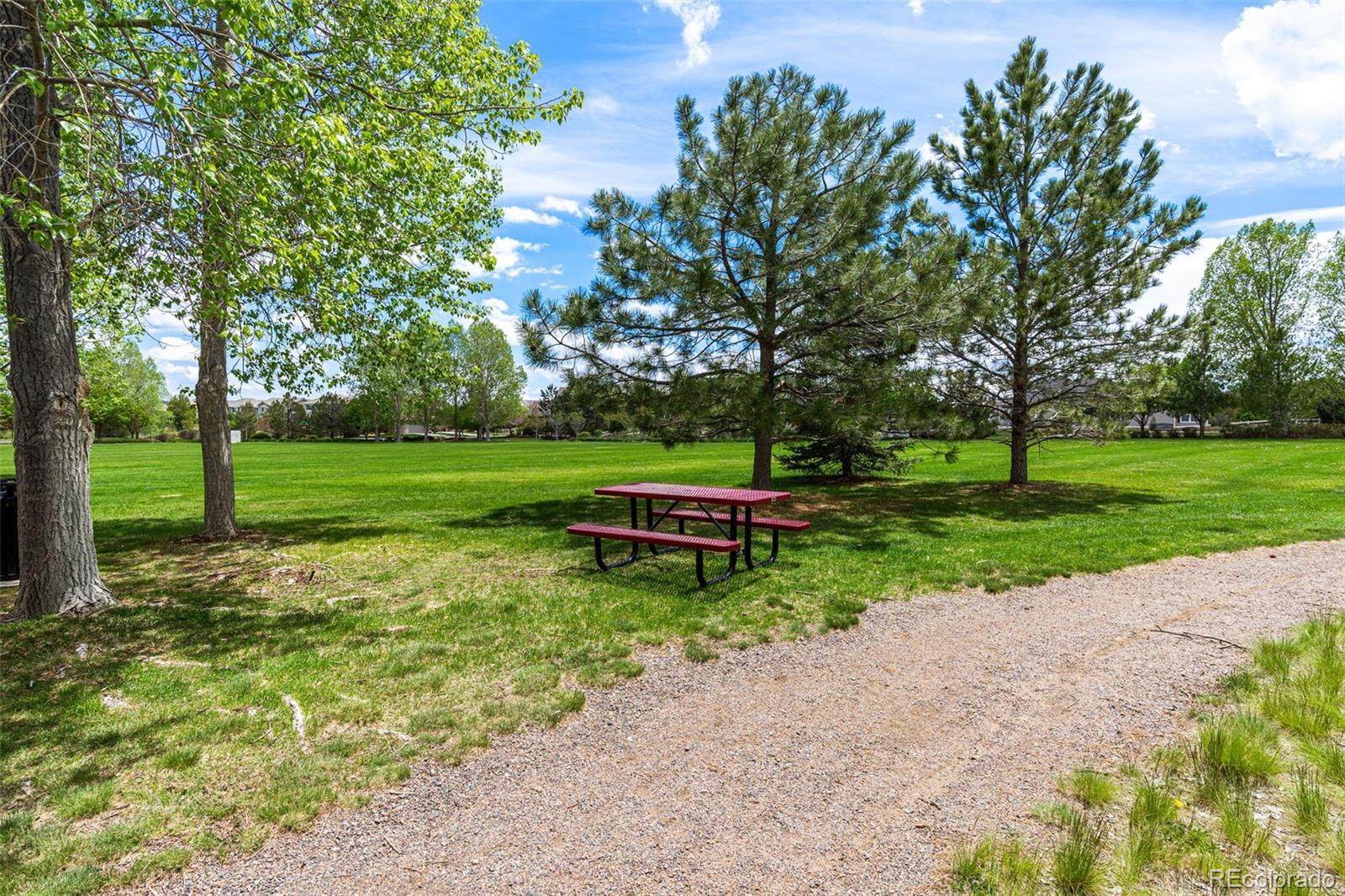 MLS Image #40 for 18130  bolero drive,parker, Colorado