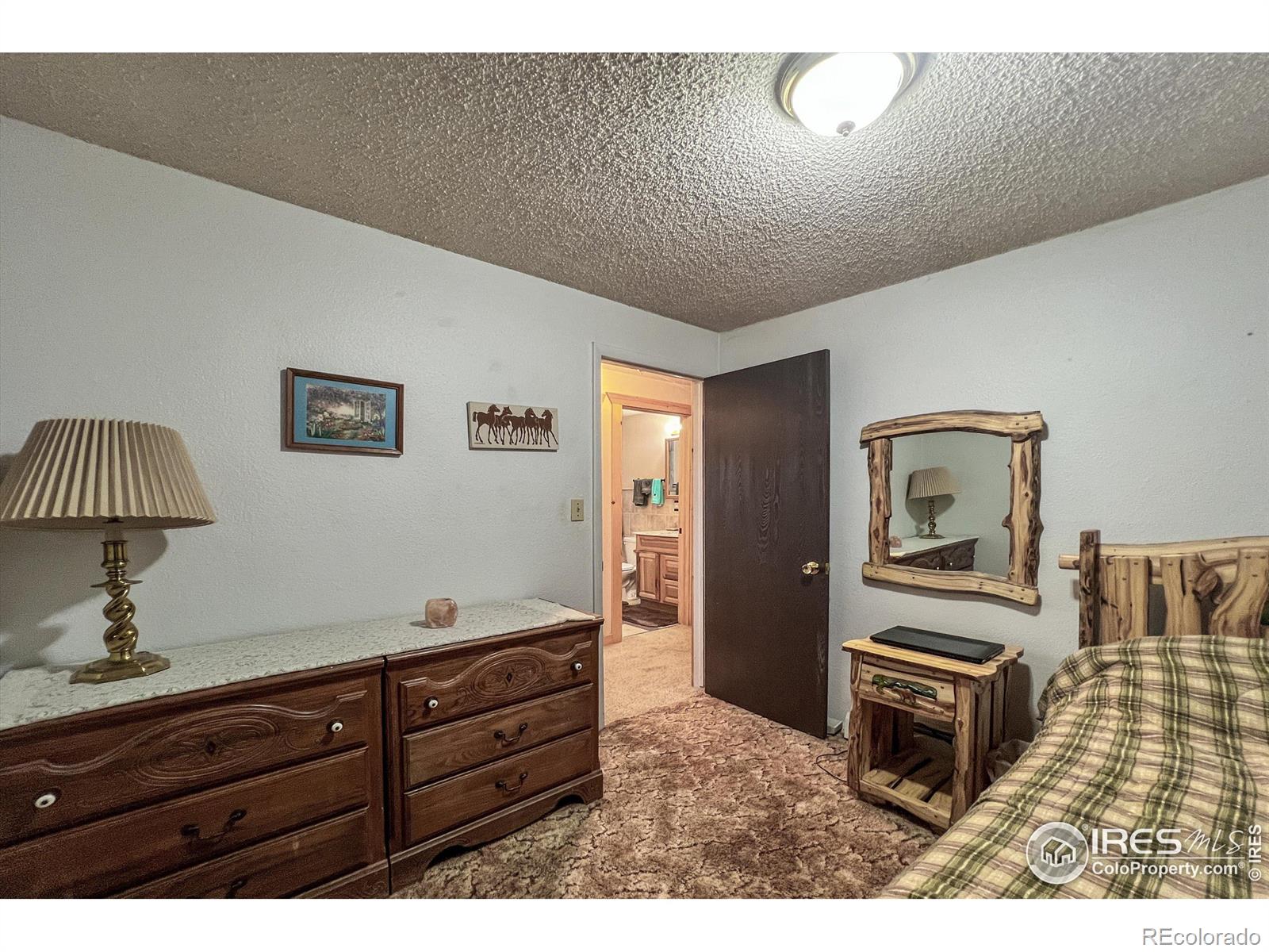 MLS Image #19 for 94  chetan court,red feather lakes, Colorado