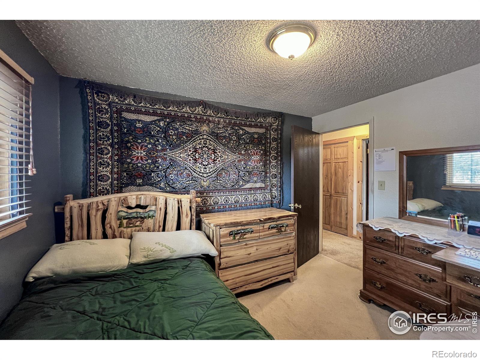 MLS Image #20 for 94  chetan court,red feather lakes, Colorado