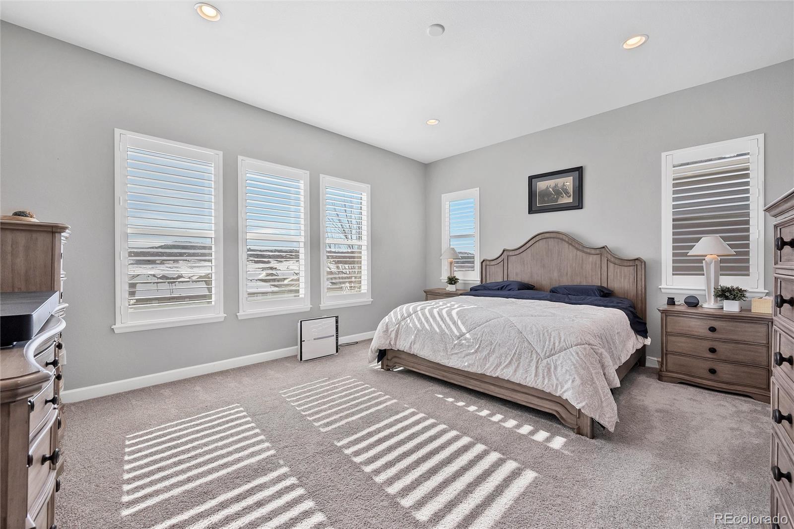 MLS Image #13 for 6066  leilani drive,castle rock, Colorado