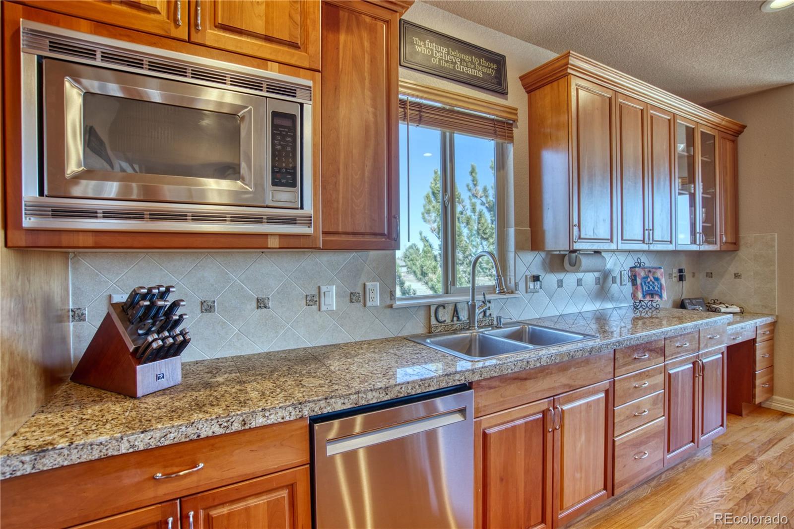 MLS Image #19 for 621 n pines trail,parker, Colorado