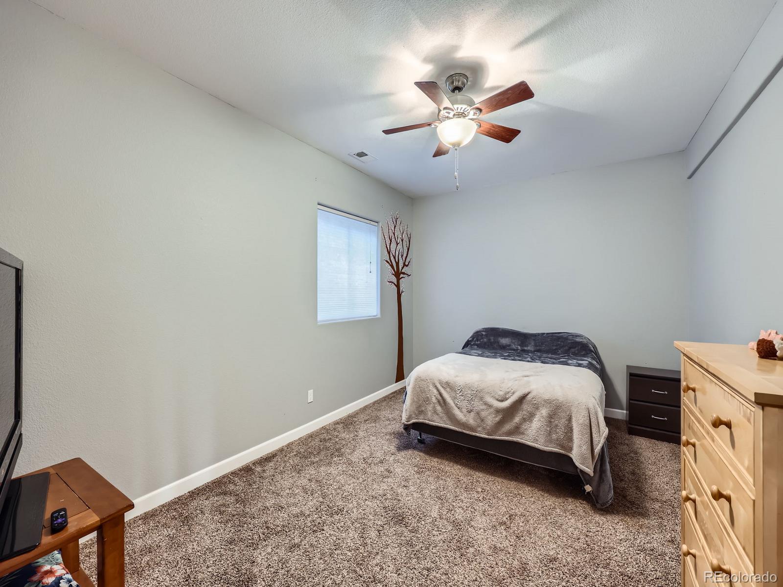 MLS Image #20 for 23236  chapel hill place,parker, Colorado