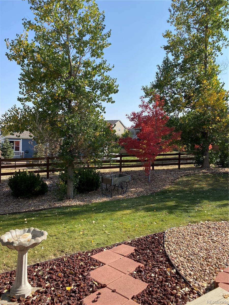 MLS Image #20 for 7472  iridium way,castle rock, Colorado