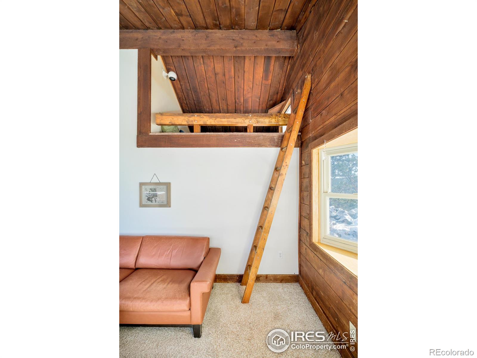 MLS Image #7 for 3714  ridge road,nederland, Colorado