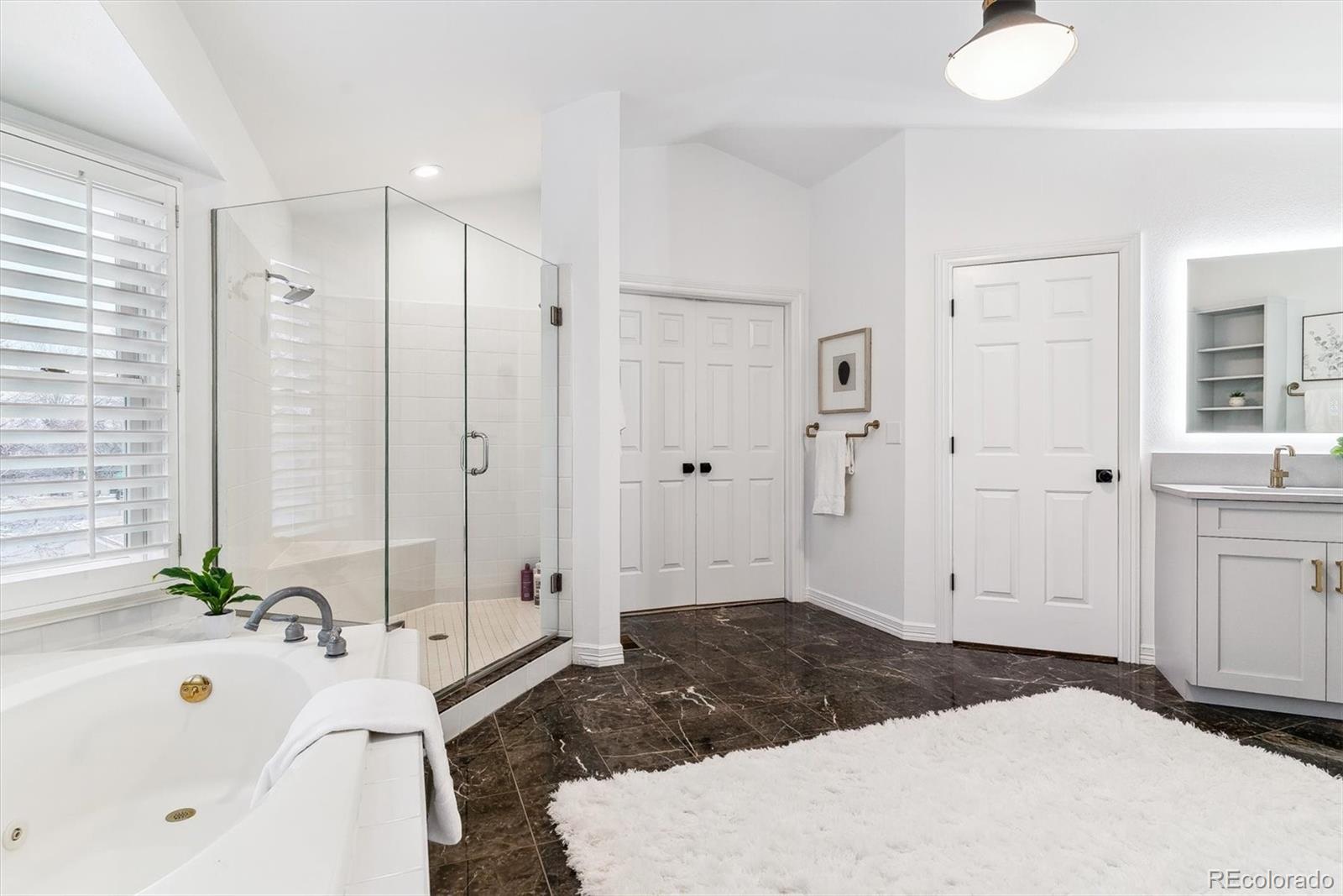 MLS Image #31 for 215  locust lane,denver, Colorado