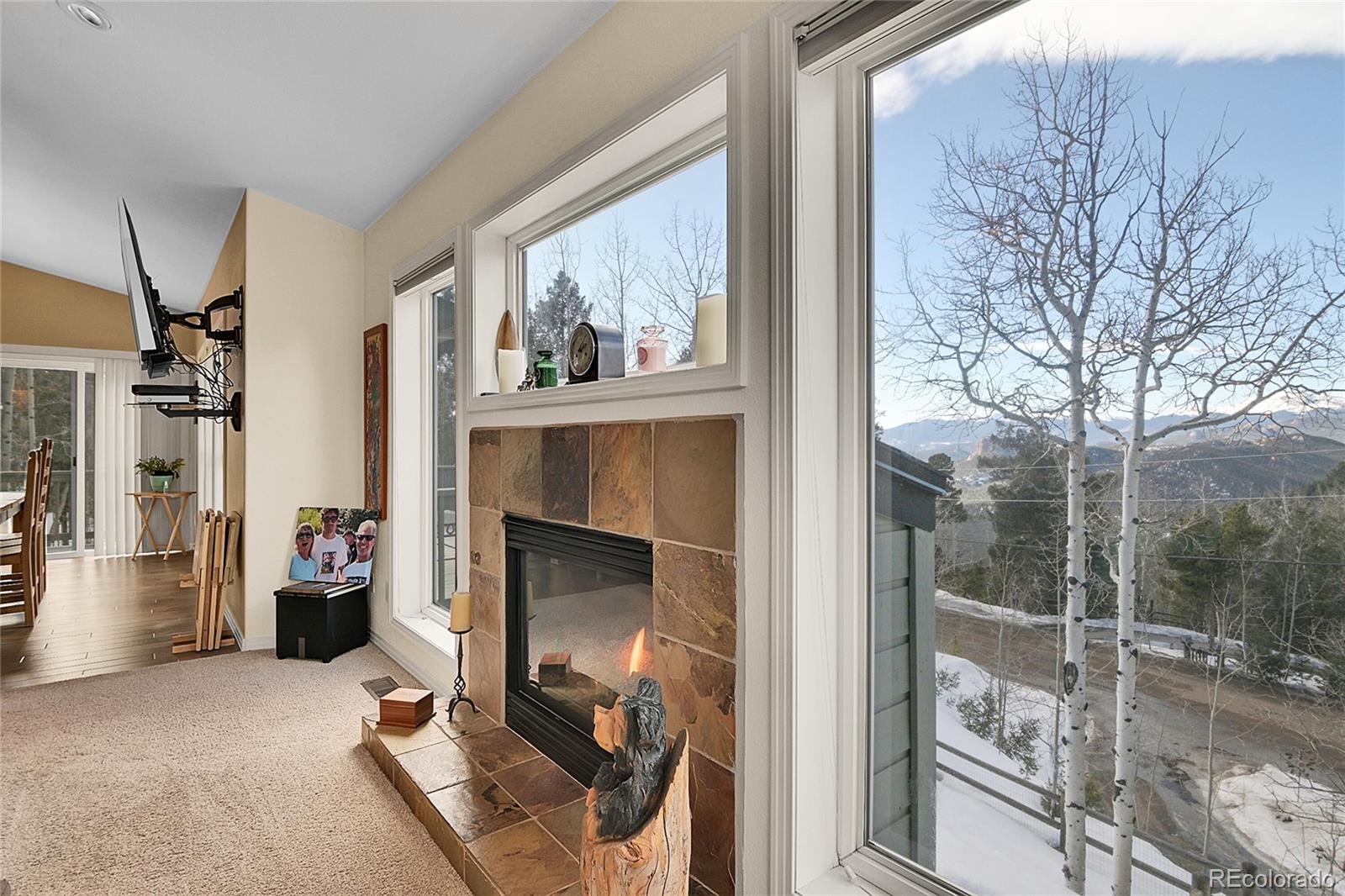 MLS Image #11 for 11647  leavenworth drive,conifer, Colorado