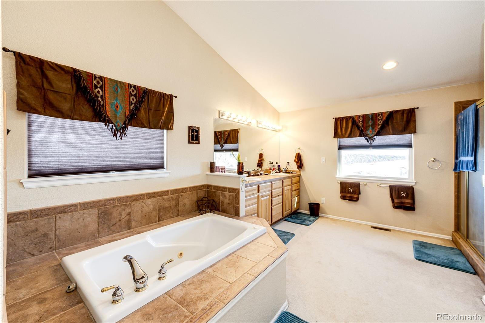 MLS Image #15 for 22091  comanche creek drive,elbert, Colorado