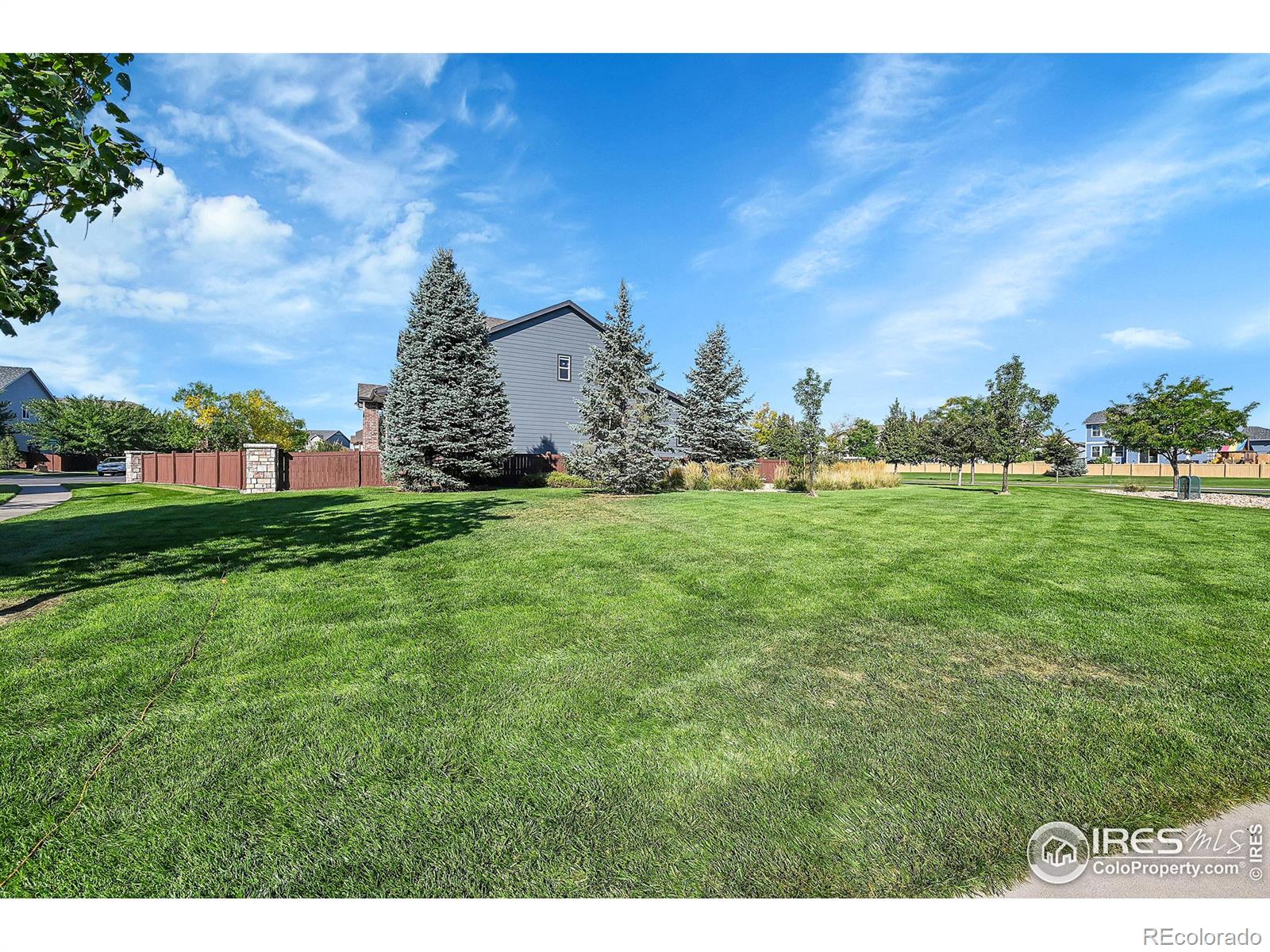 MLS Image #31 for 6448  cloudburst avenue,timnath, Colorado