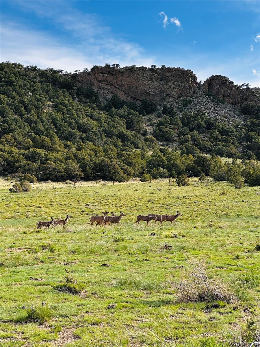 MLS Image #10 for 640  county road 571 ,gardner, Colorado